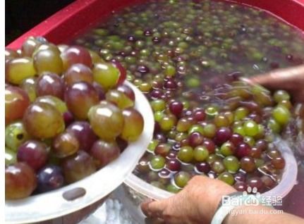 健康与美的双重享受 水果饮品与化妆品的巧妙结合