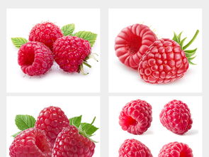 多种水果高清大图与设计素材集合，附饮品美食大全与新鲜蔬菜资源