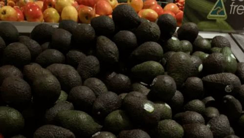 澳洲牛肉价格将上涨，果蔬价格有望下跌 市场波动背后的原因与展望