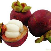 新鲜蔬菜 营养、选择与保鲜之道