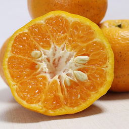 优质农产品助力精准扶贫 新鲜当季水果与蔬菜，脆甜可口全国包邮