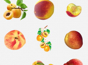 新鲜水蜜桃 美味与设计的完美结合